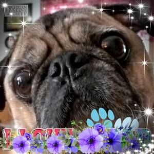 Meet your Posher, Val